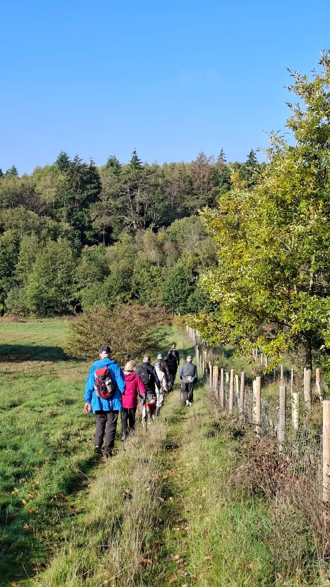 The walkers
